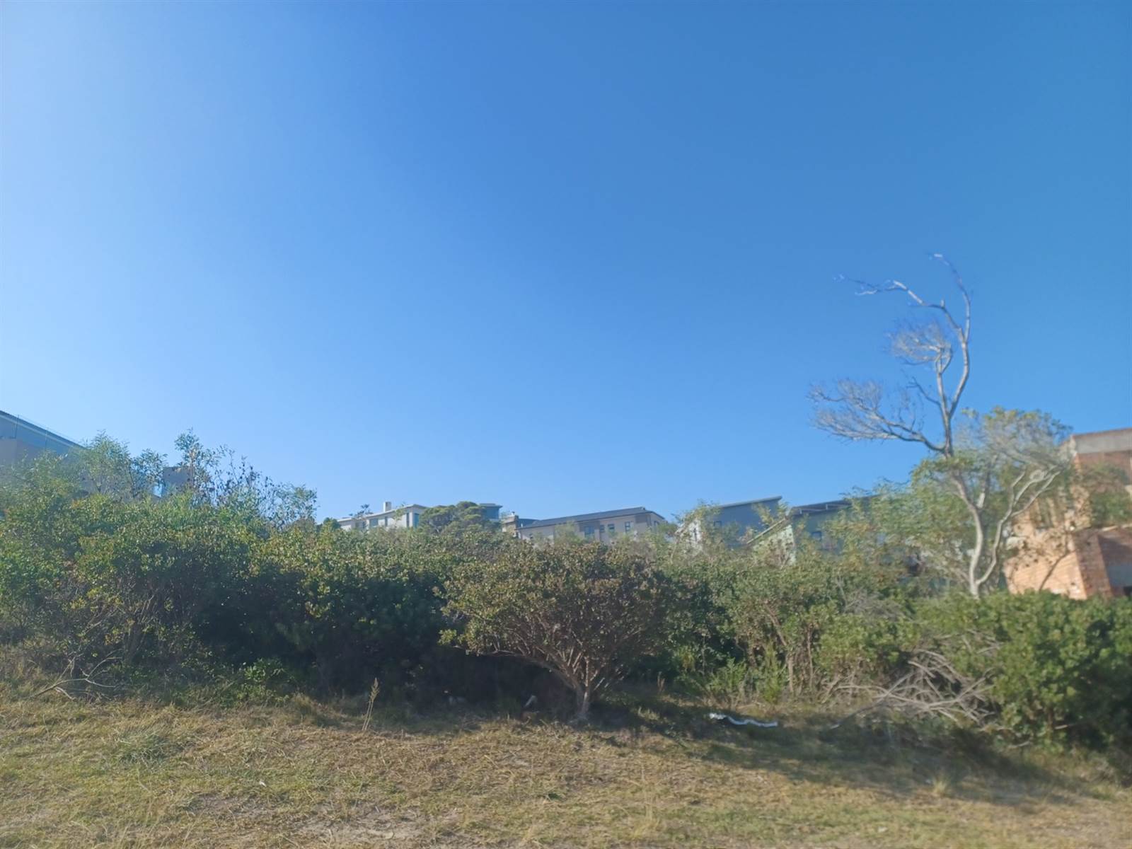 1075 m² Land available in Whale Rock photo number 3