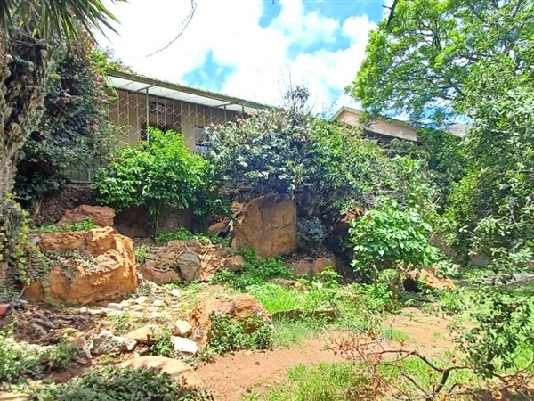3 Bedroom House 3 Bedroom House