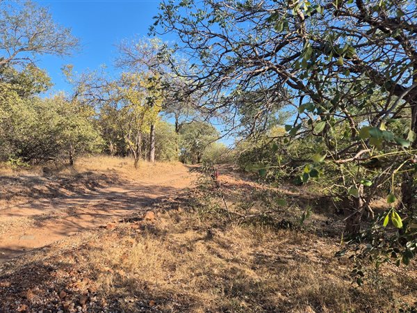2 900 m² Land 2 900 m² Land
