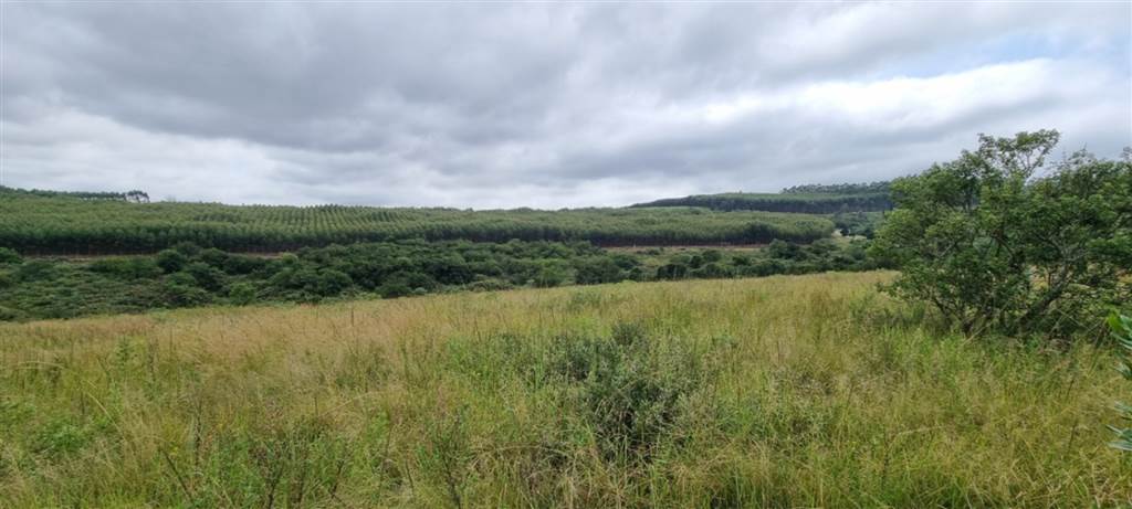 1 ha Land available in White River photo number 16
