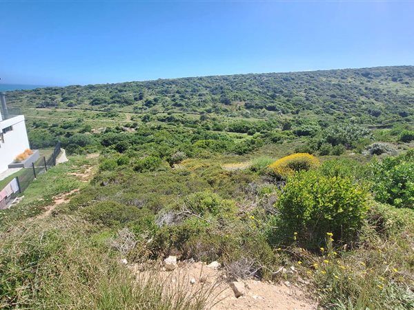 1041 m² Land available in Pinnacle Point Golf Estate