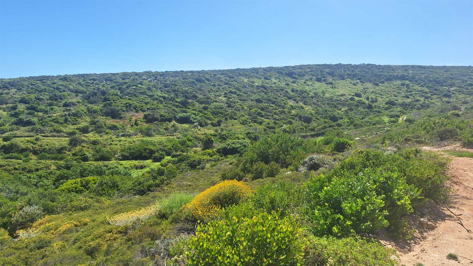 1041 m² Land available in Pinnacle Point Golf Estate photo number 5
