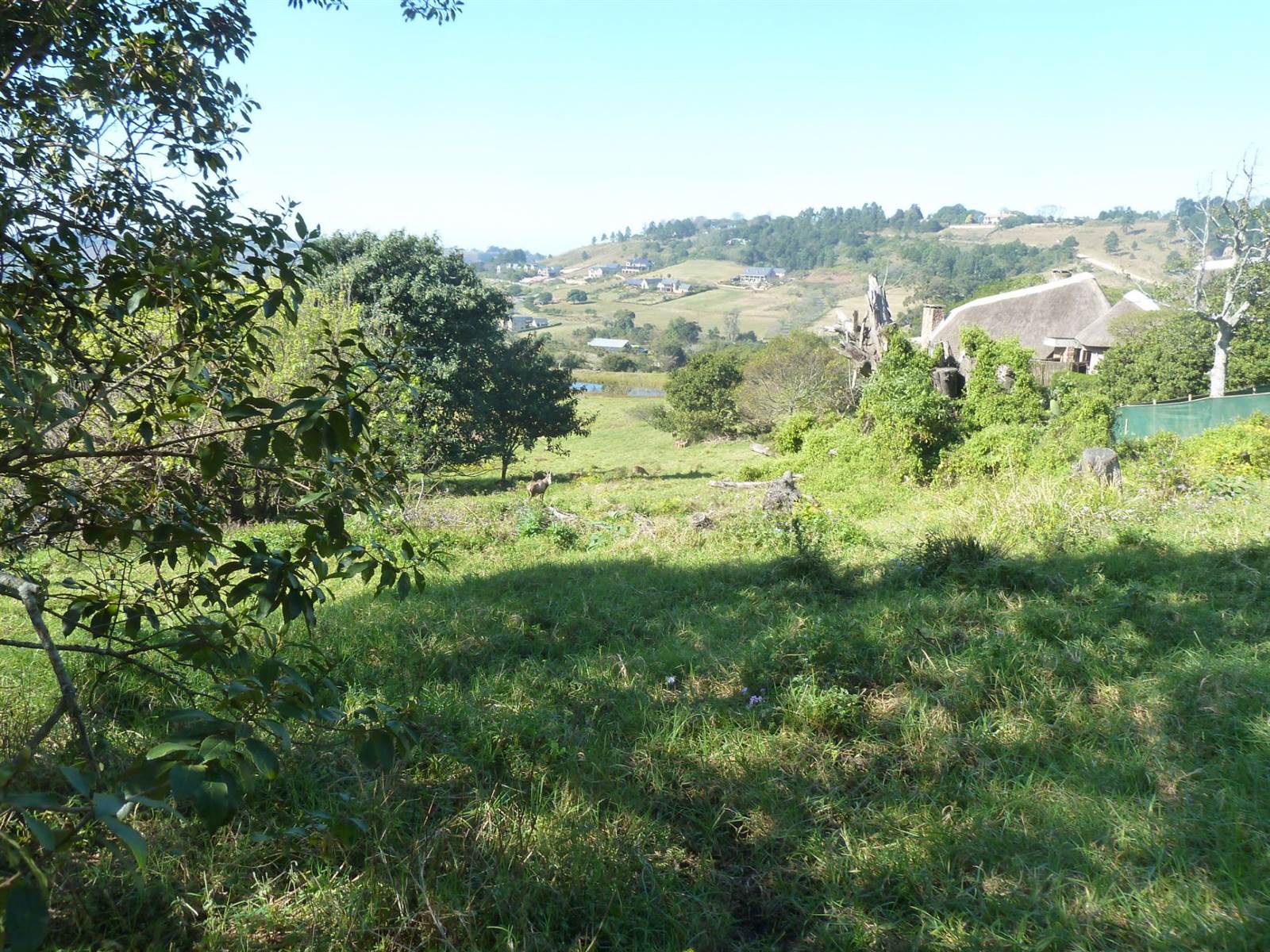 1960 m² Land available in Bothas Hill photo number 4