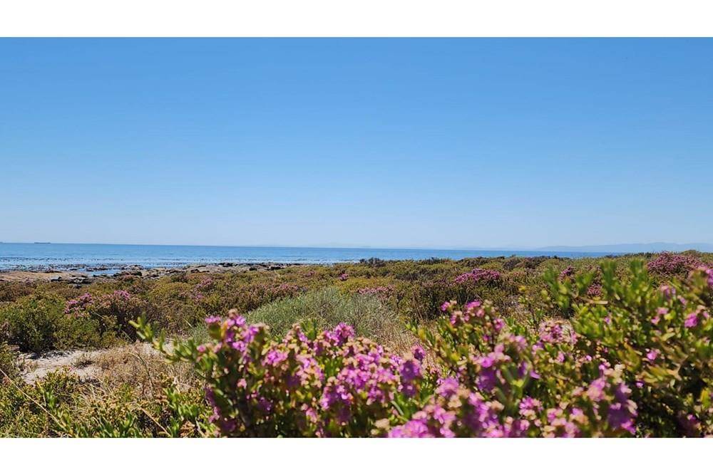 459 m² Land available in Sandy Point photo number 5