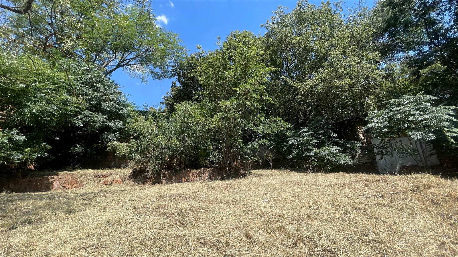 594 m² Land available in Menlo Park photo number 13