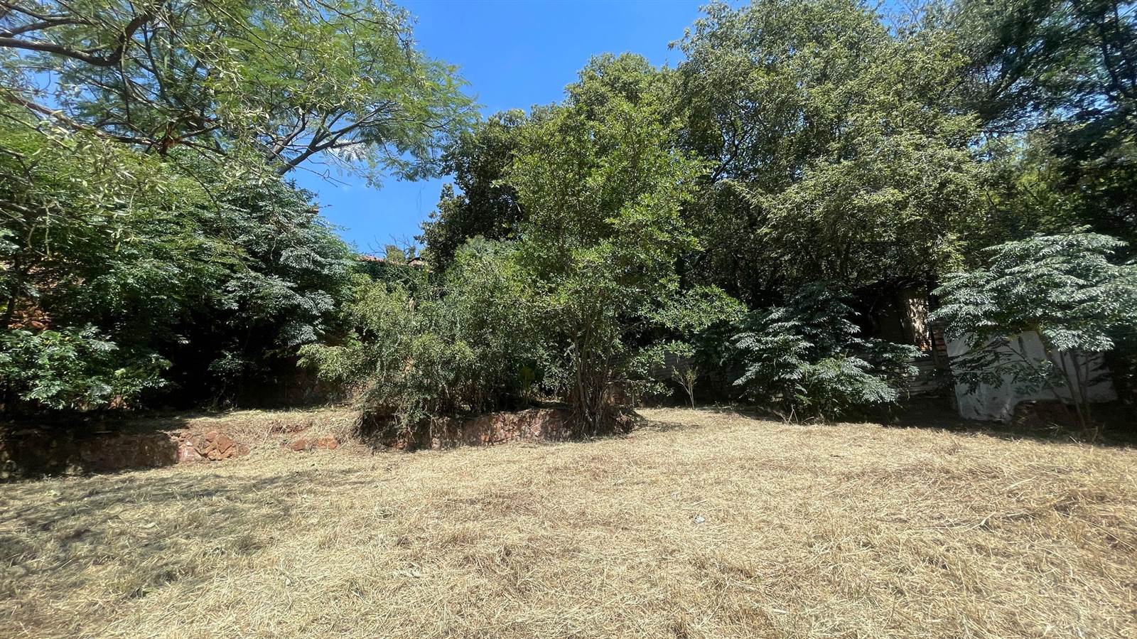594 m² Land available in Menlo Park photo number 12