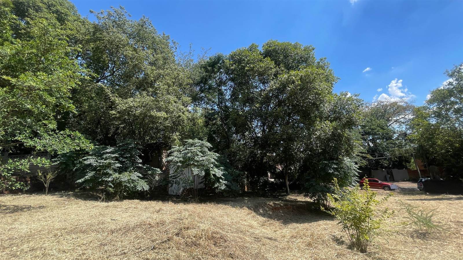 594 m² Land available in Menlo Park photo number 6