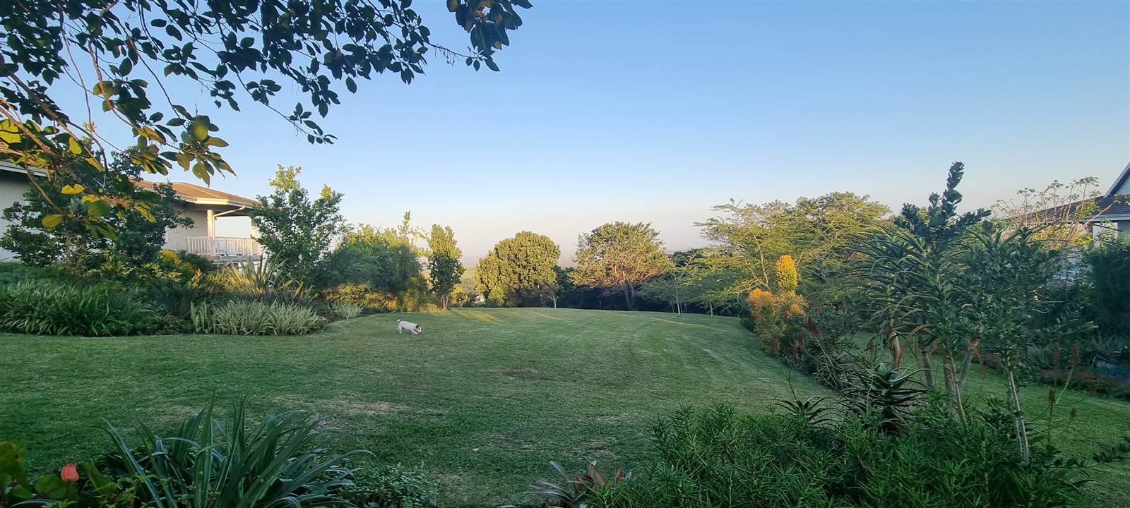 1143 m² Land available in Eshowe photo number 5