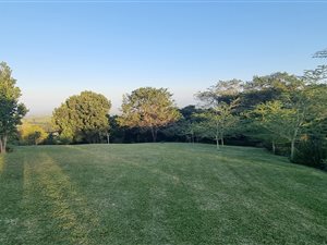 1143 m² Land available in Eshowe