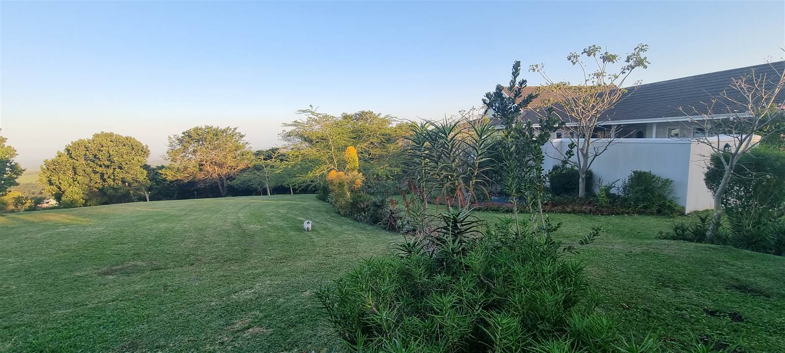 1143 m² Land available in Eshowe photo number 4