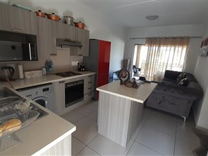 1 Bed Apartment in Comet