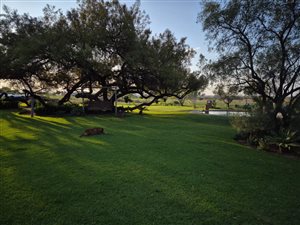 8.5 ha farm in Polokwane Central