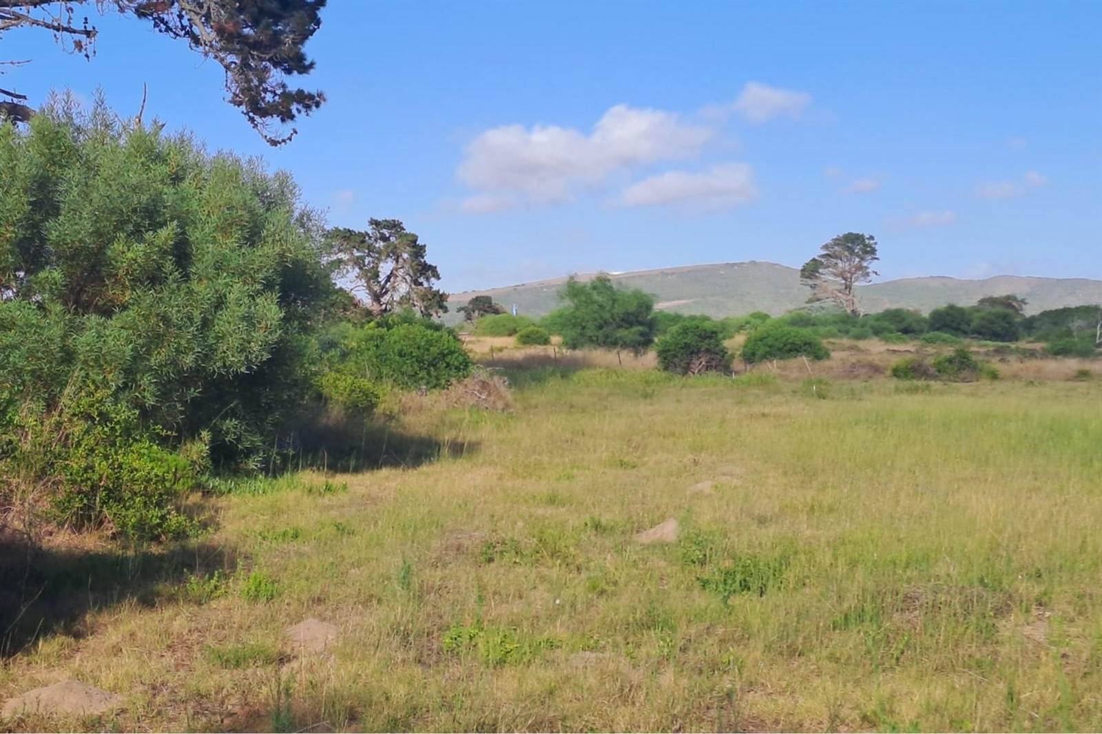 564 m² Land available in Klein Brak River photo number 3