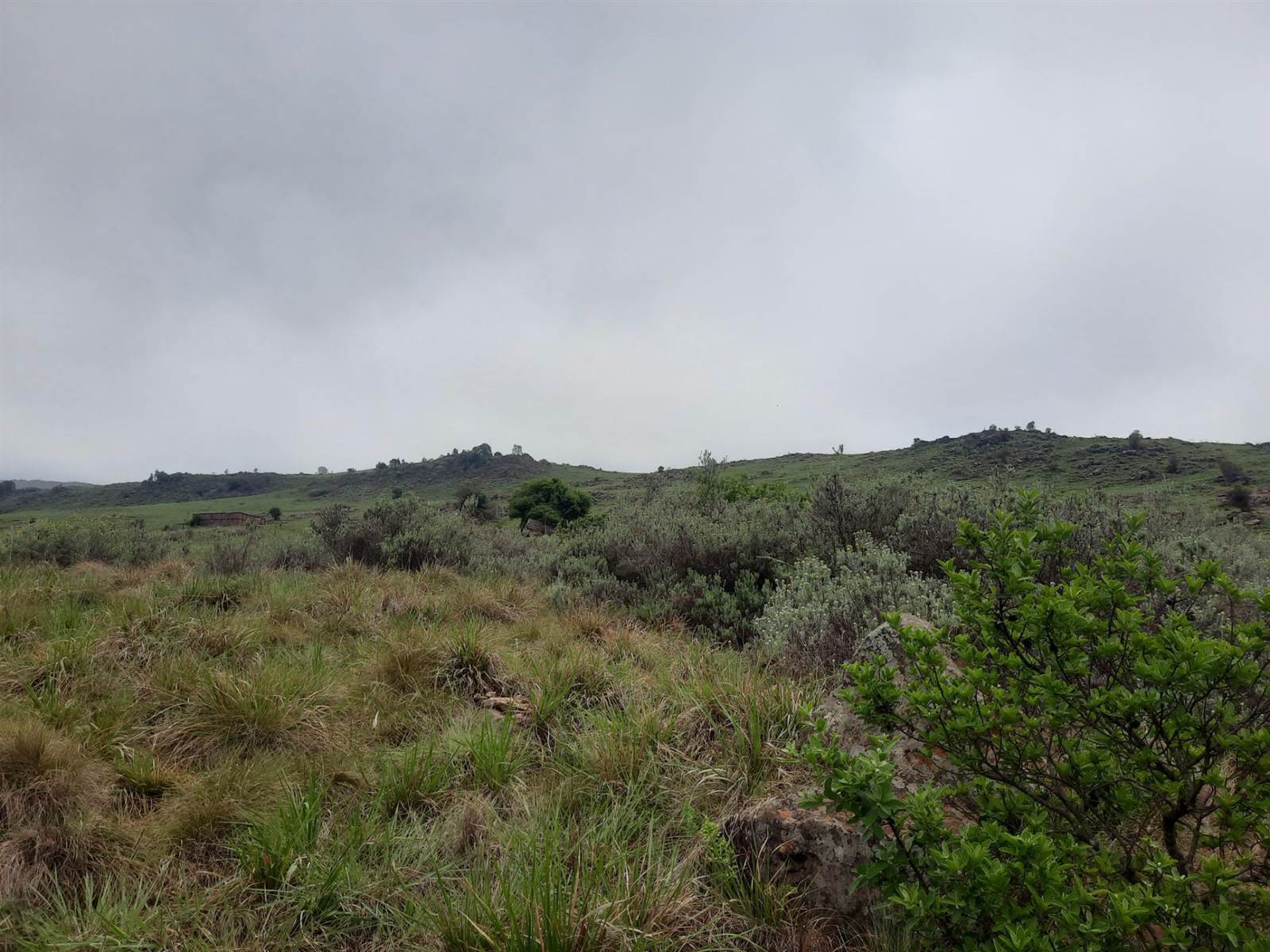 4644 m² Land available in Dullstroom photo number 8