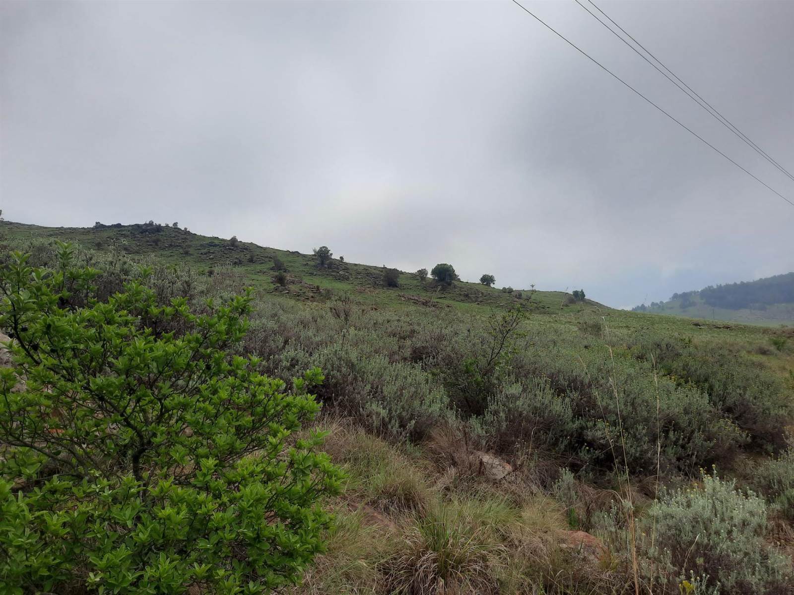 4644 m² Land available in Dullstroom photo number 9