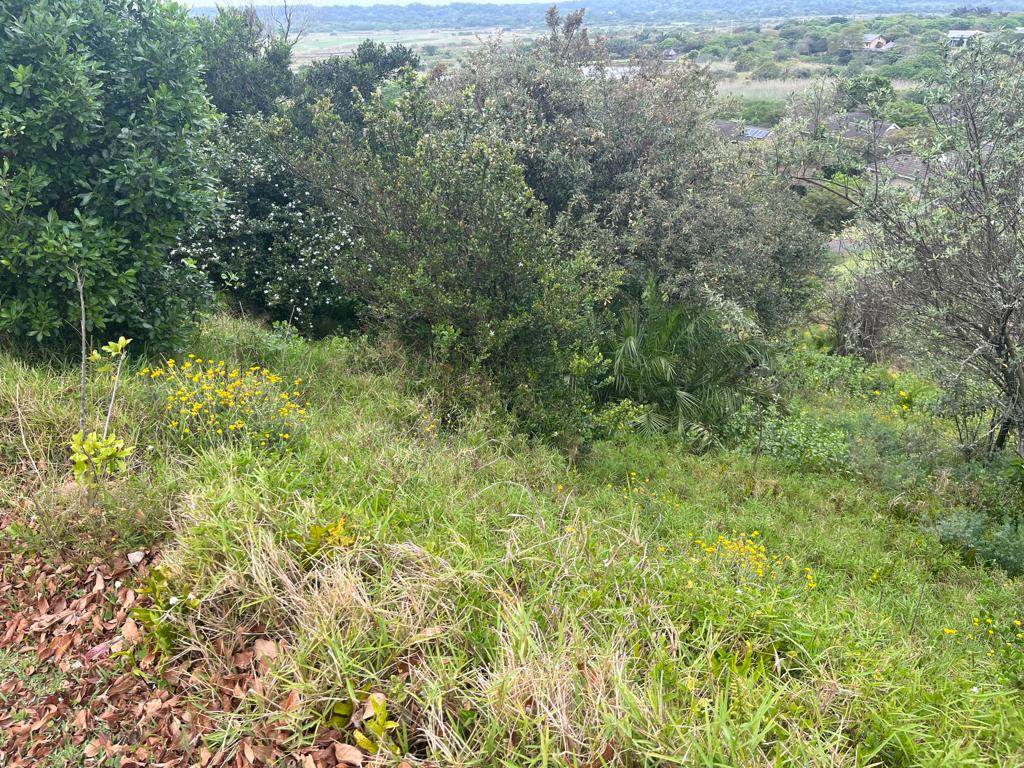 1914 m² Land available in Mtunzini photo number 3