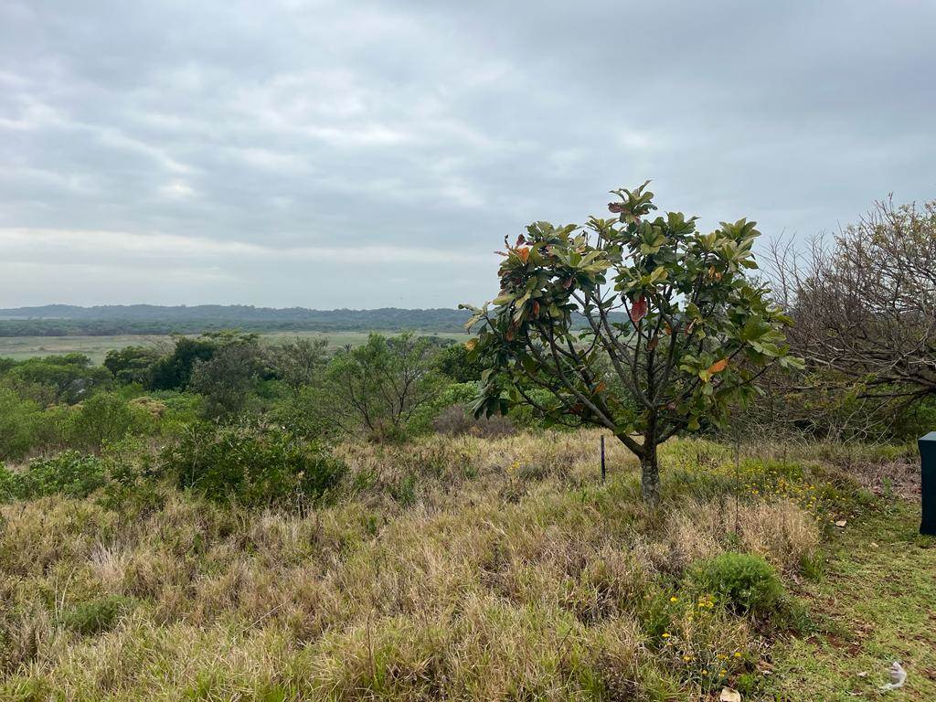 1914 m² Land available in Mtunzini photo number 4