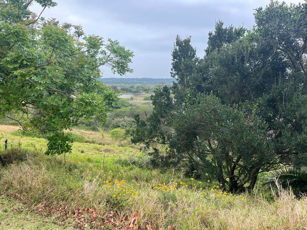 1914 m² Land available in Mtunzini photo number 1