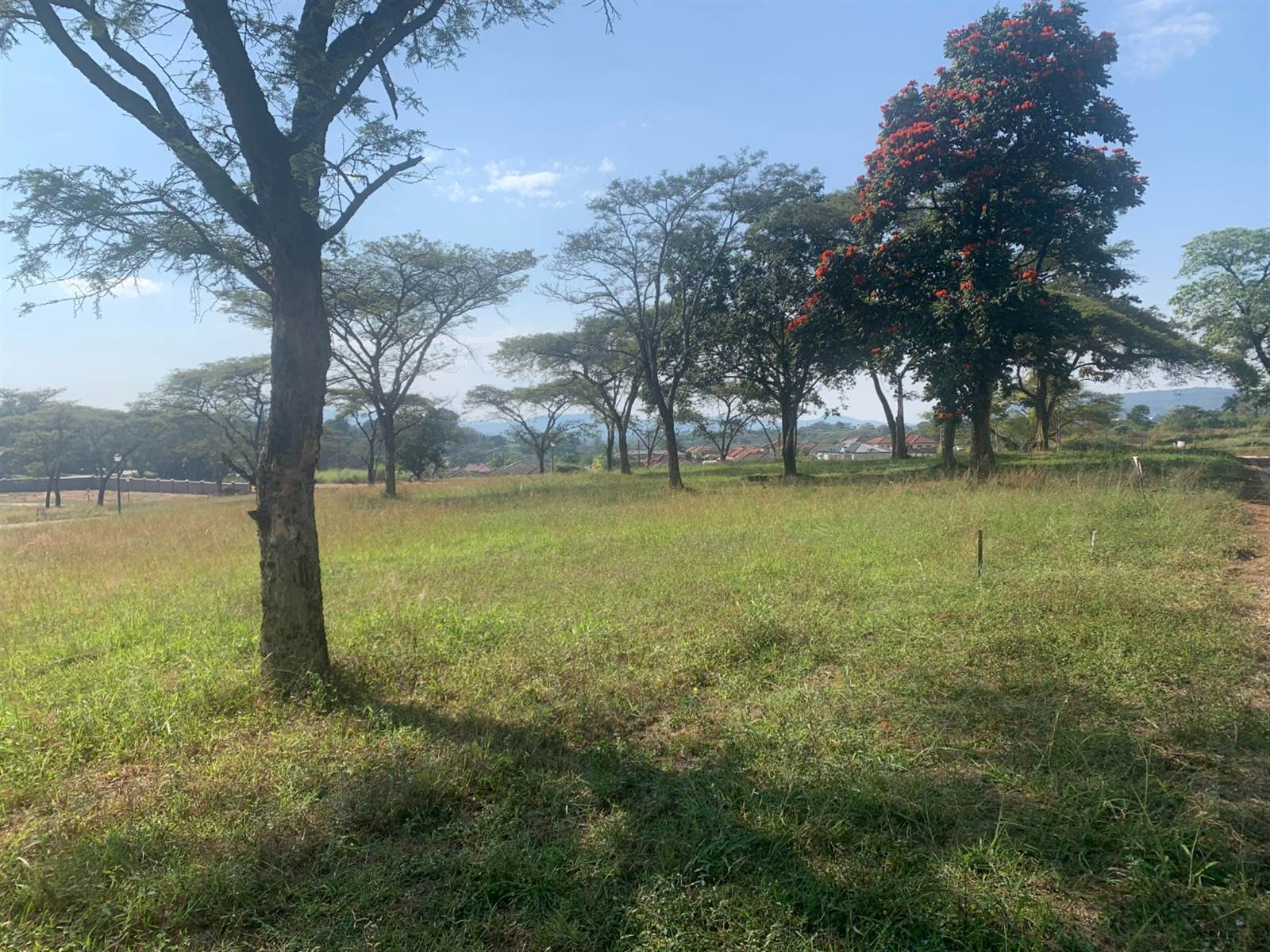 647 m² Land available in Tzaneen photo number 5