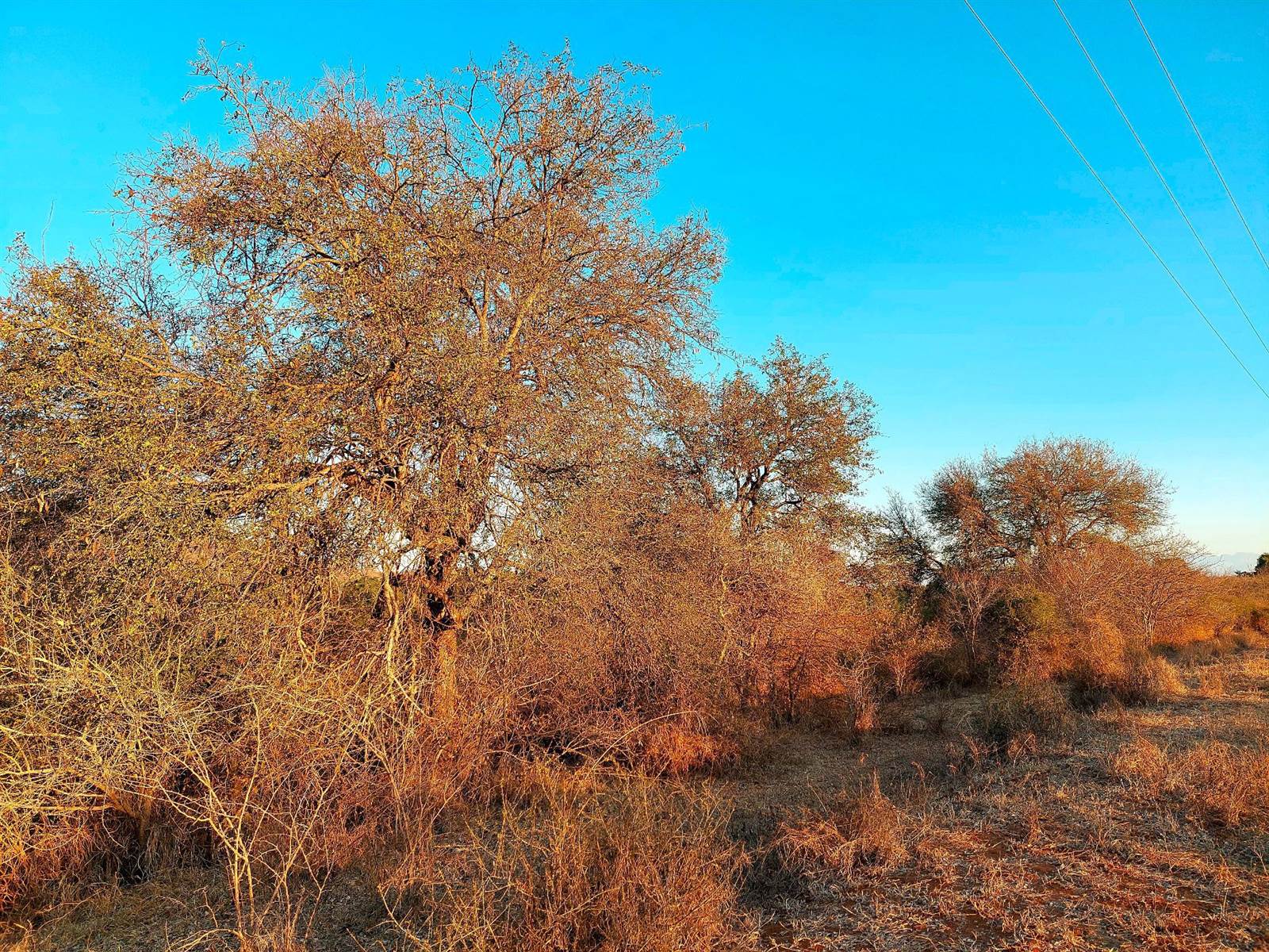 2433 m² Land available in Hoedspruit photo number 6