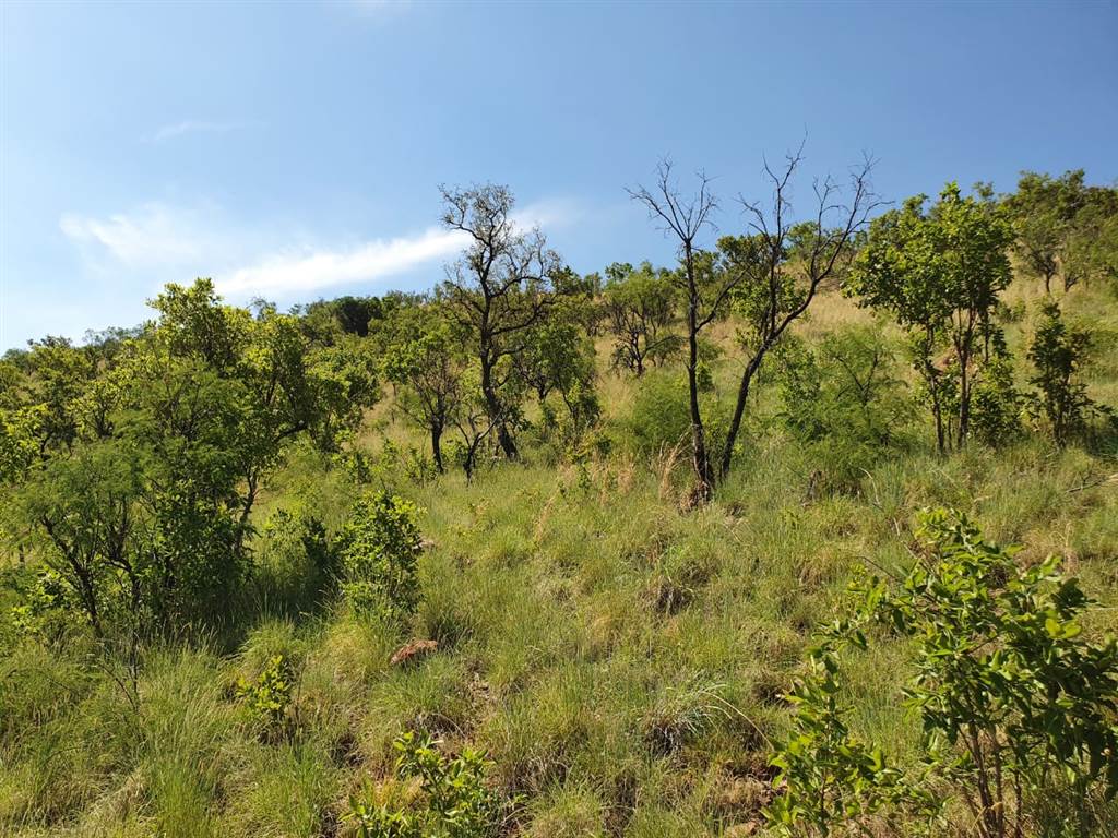 76 ha Land available in Middelburg Central photo number 10