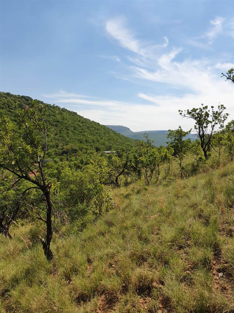 76 ha Land available in Middelburg Central photo number 11