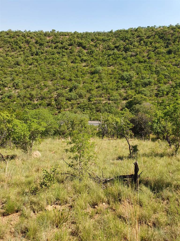 76 ha Land available in Middelburg Central photo number 14