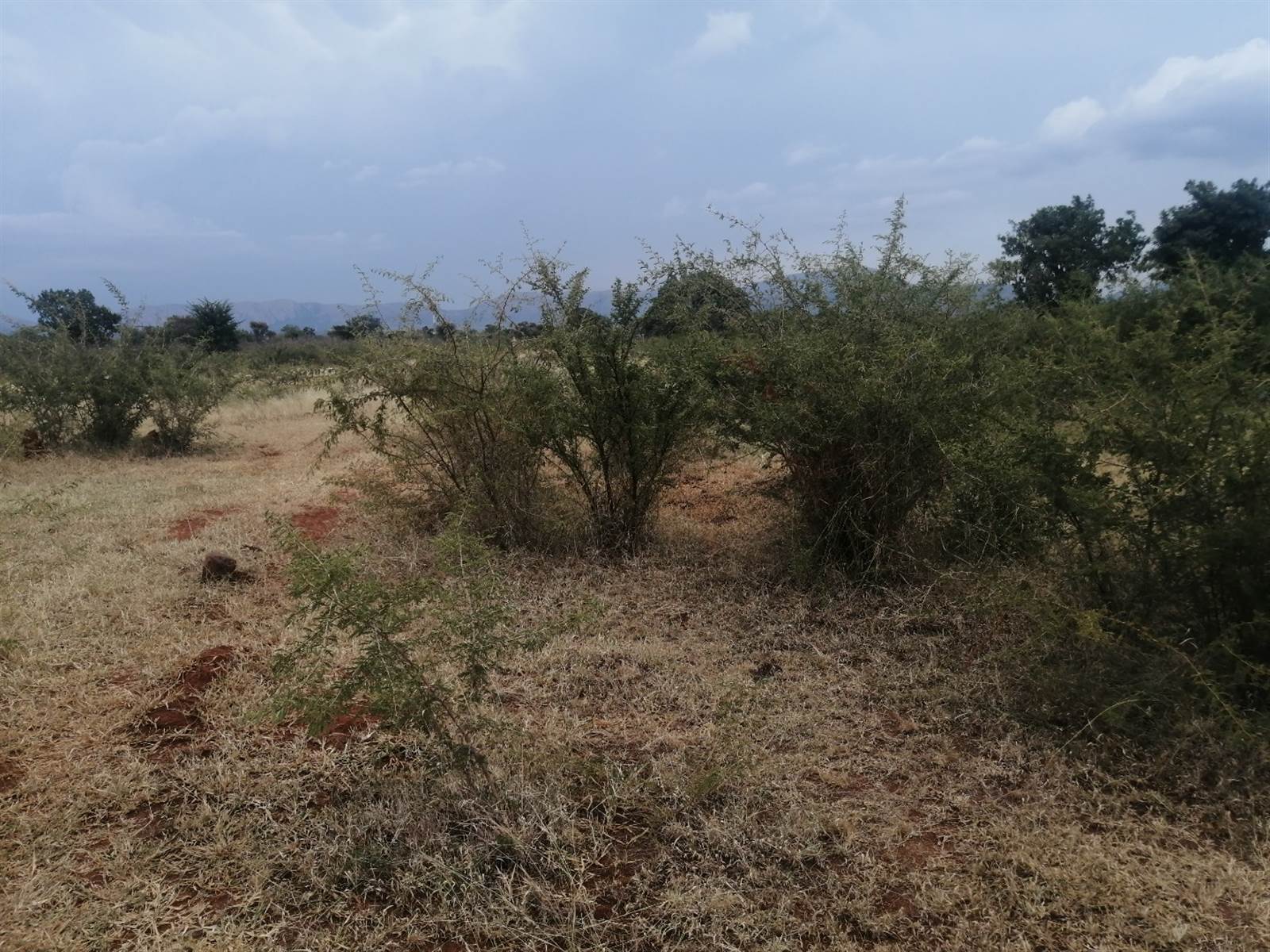 470 m² Land available in Lebowakgomo photo number 2