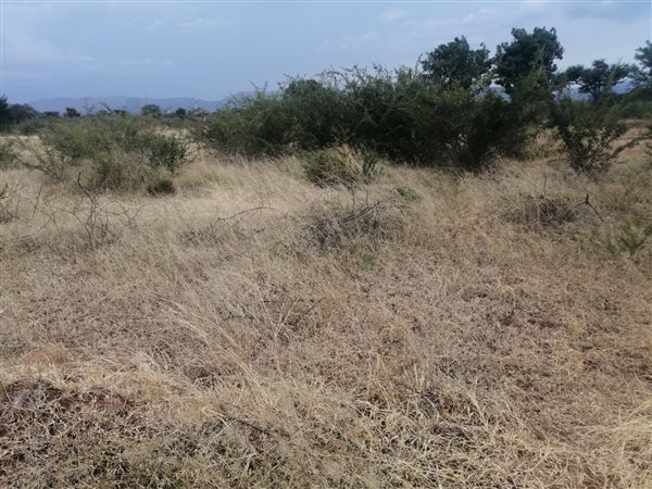 470 m² Land available in Lebowakgomo