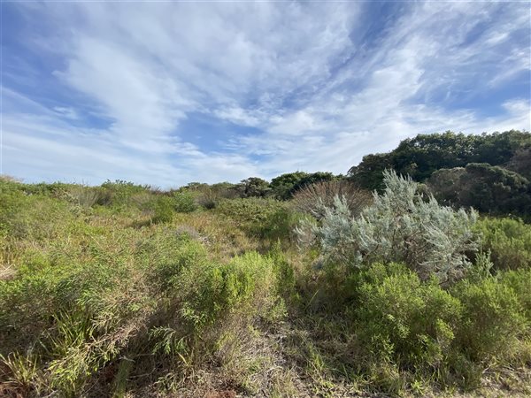 1206 m² Land available in St Francis Links