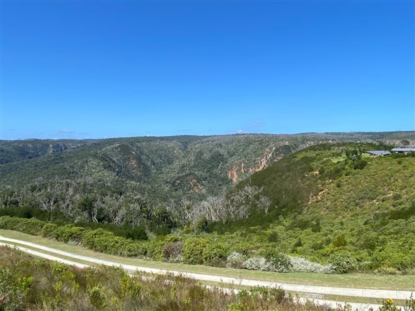 4477 m² Land available in Pezula Private Estate