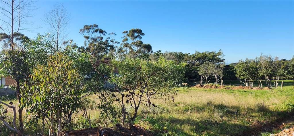 761 m² Land available in Bredasdorp photo number 5