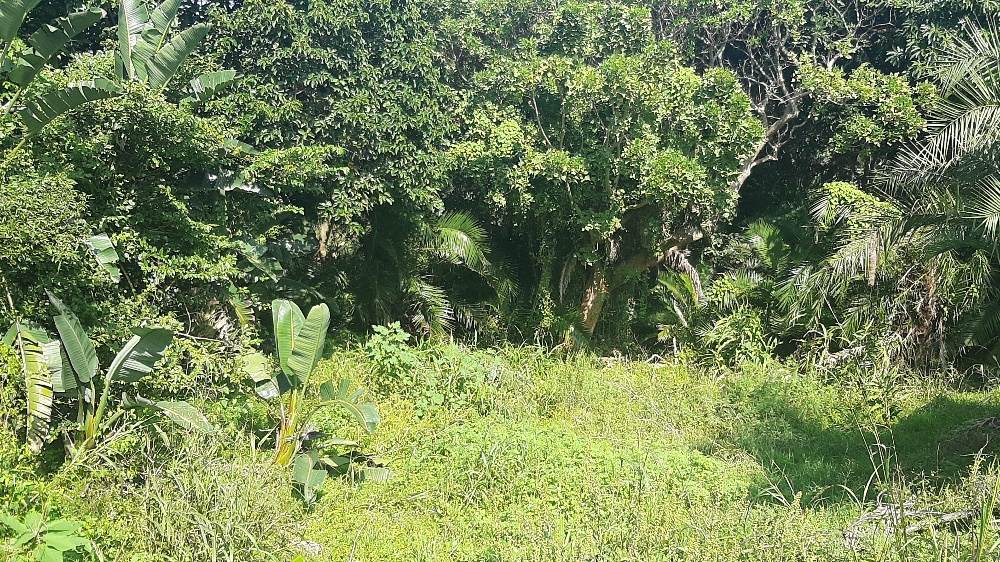 1211 m² Land available in Bazley Beach photo number 1