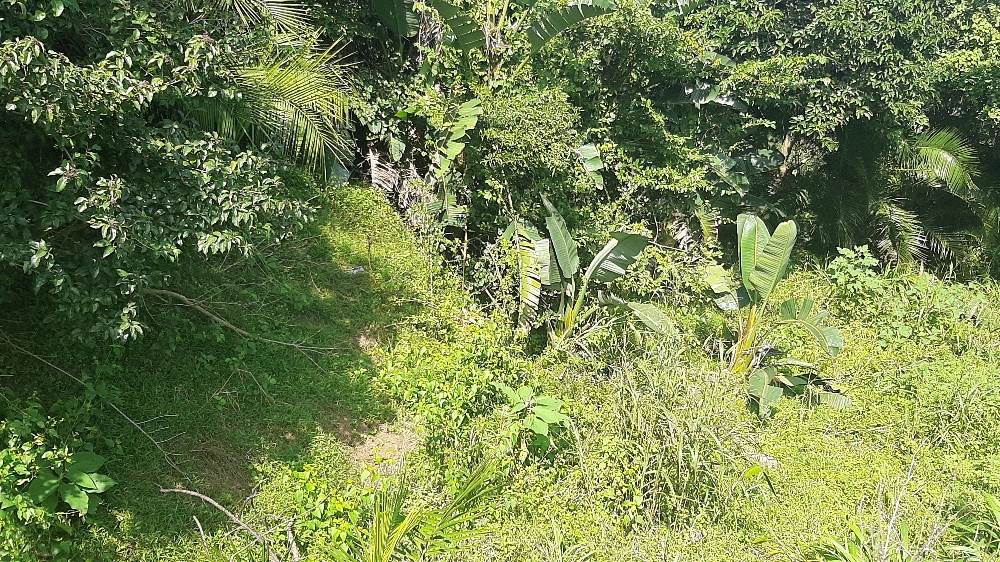1211 m² Land available in Bazley Beach photo number 2