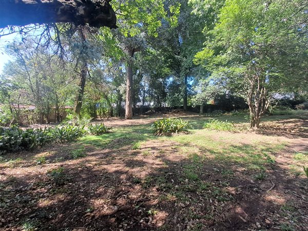 2040 m² Land available in Craighall Park
