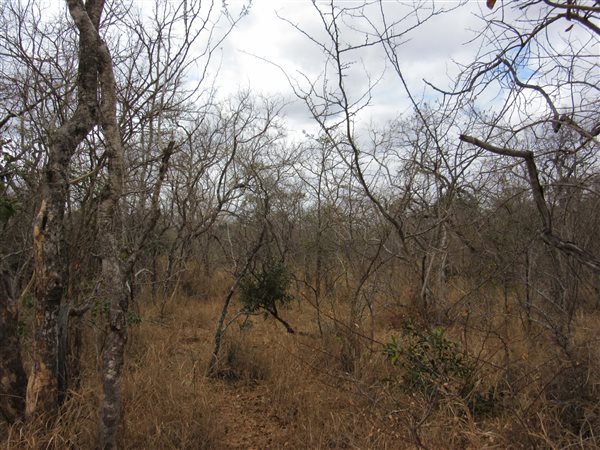 1.4 ha Land available in Moditlo Nature Reserve