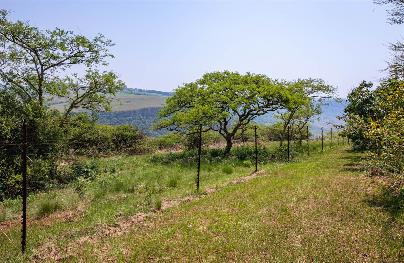 3380 m² Land available in Hilton photo number 2