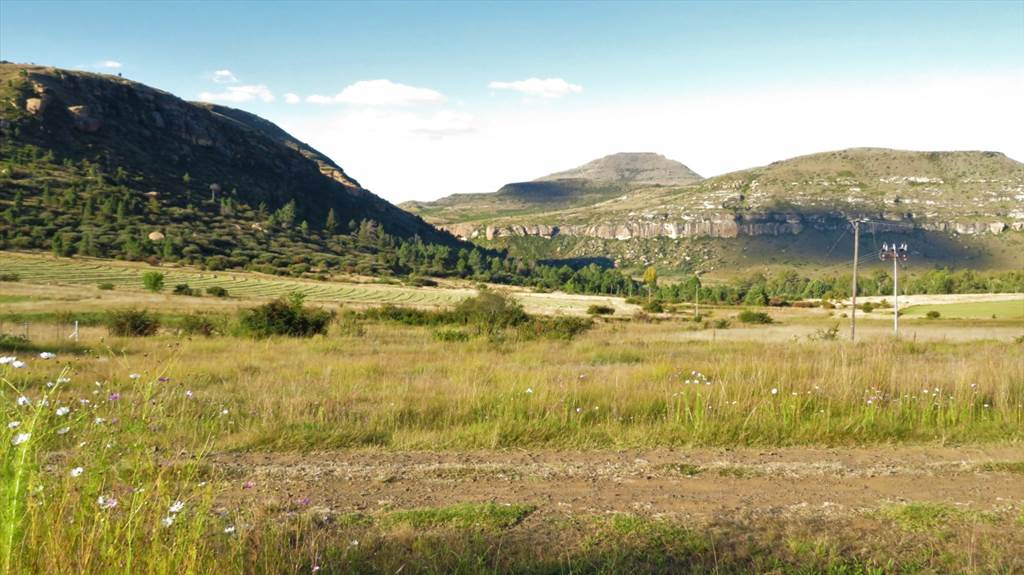770 m² Land available in Fouriesburg photo number 3