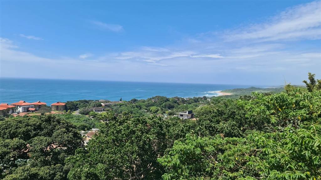 1180 m² Land available in Zinkwazi Beach photo number 4