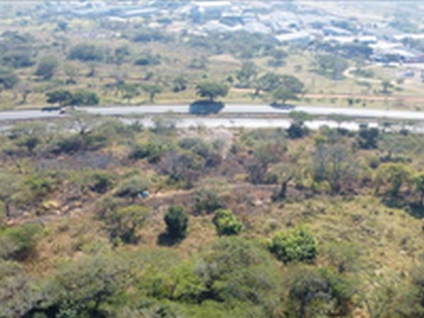 5.3 ha Land