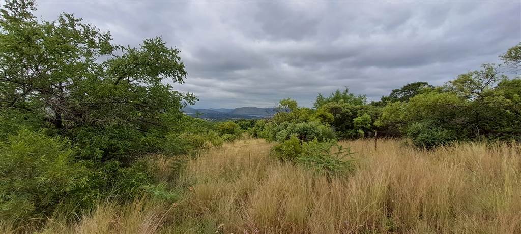 8600 m² Land available in Melodie photo number 2