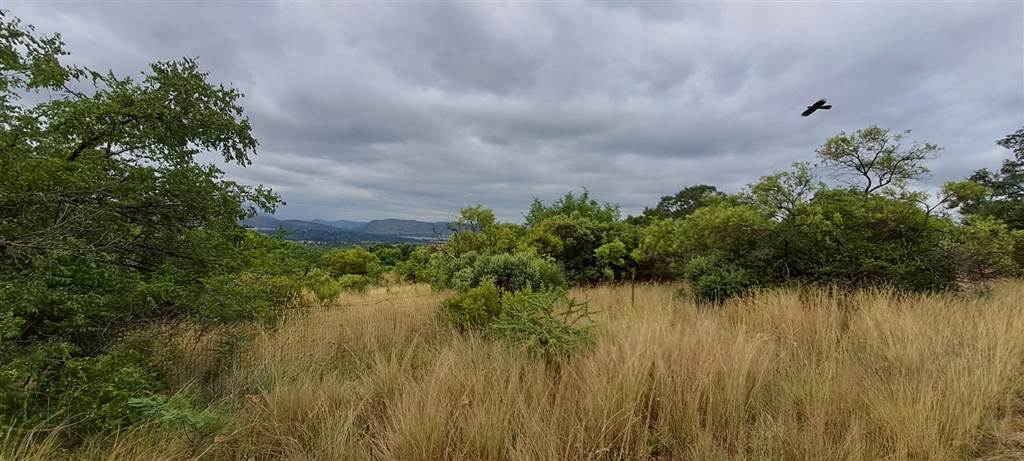 8600 m² Land available in Melodie photo number 5