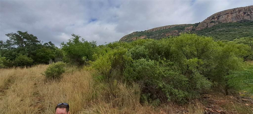 8600 m² Land available in Melodie photo number 8