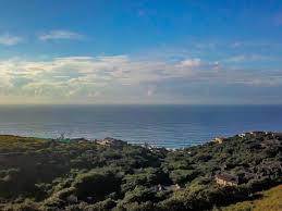 2 Bed Apartment in Zululami Luxury Coastal Estate photo number 13