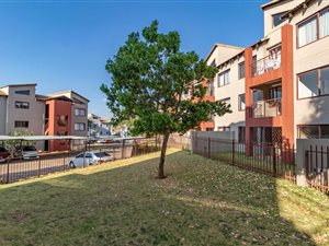 2 Bed Apartment in Honeydew