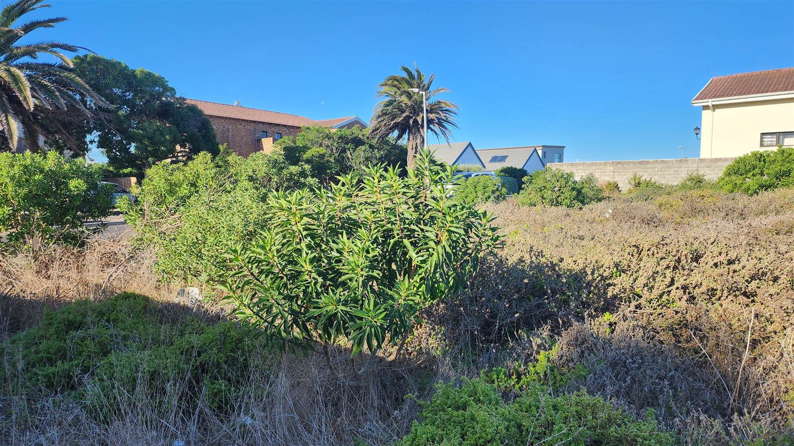 732 m² Land available in Yzerfontein photo number 2