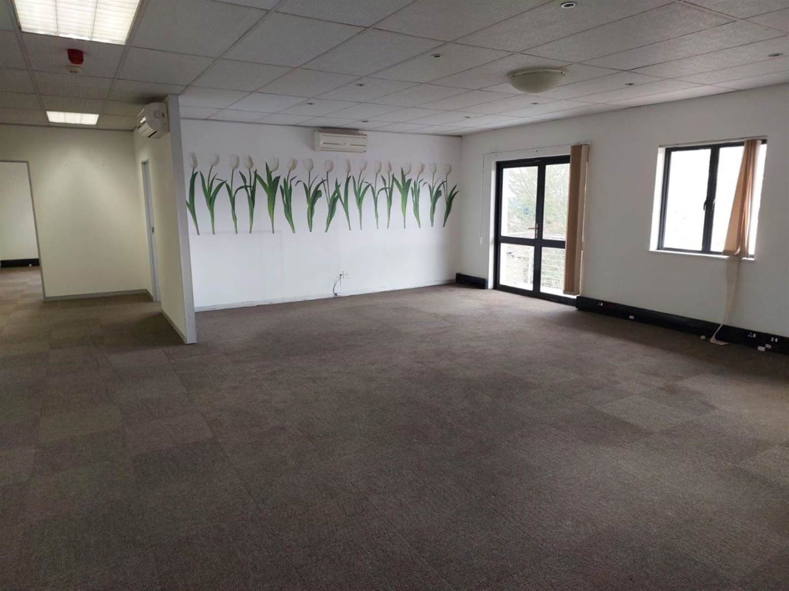 245  m² Commercial space in Bryanston photo number 11