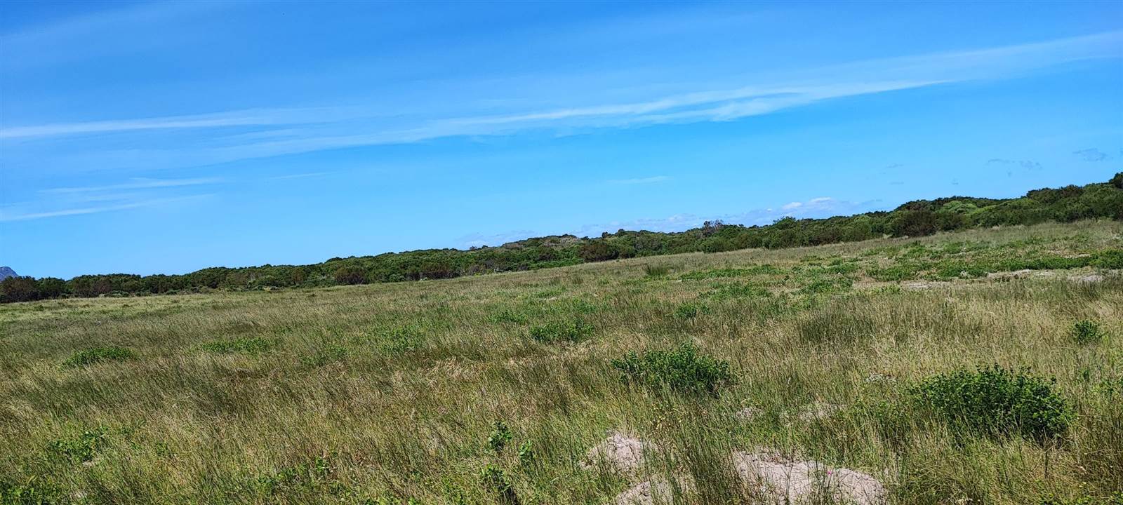 1.7 ha Land available in Kleinbaai photo number 14