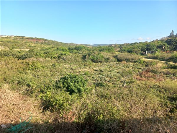 1 175 m² Land