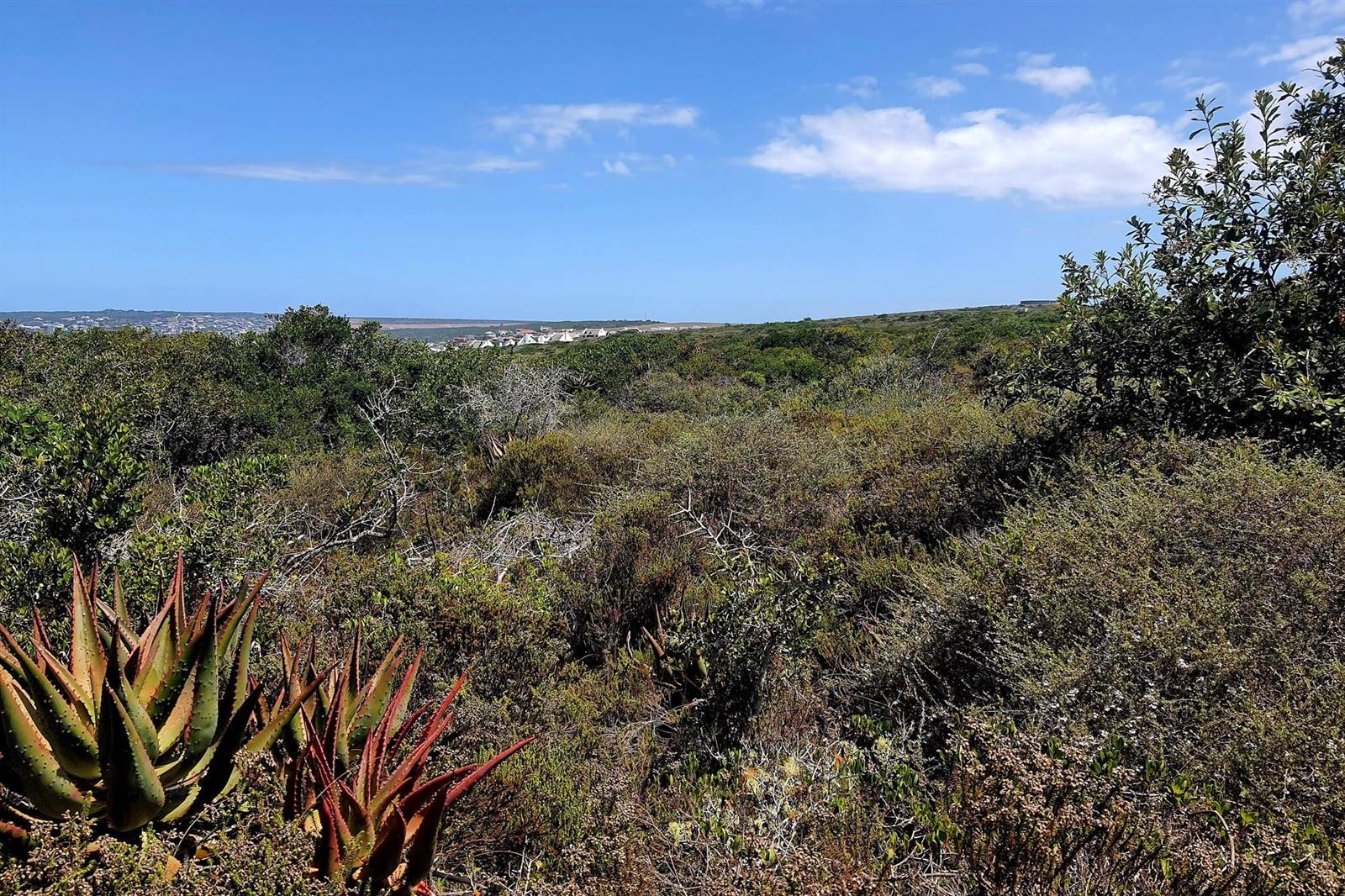 1956 m² Land available in Springerbaai Eco Estate photo number 5